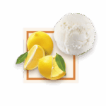 Sorbet Citron Jaune 2.5L