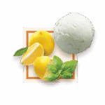 Sorbet Citron Basilic 2.5L