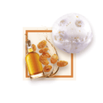 Glace Rhum Raisin 2.5L