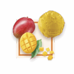Sorbet Mangue 2.5L