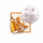 Glace Rhum Raisin 2.5L