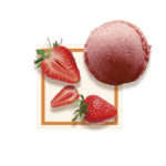 Sorbet fraise 2.5L