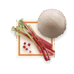 Sorbet Rhubarbe 2.5L