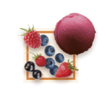 Sorbet Fruits Rouges 2.5L