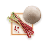 Sorbet Rhubarbe 2.5L