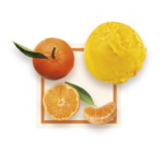 Corsican Clementine PGI Sorbet 2.5L