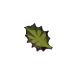 Feuilles de houx en chocolat noir